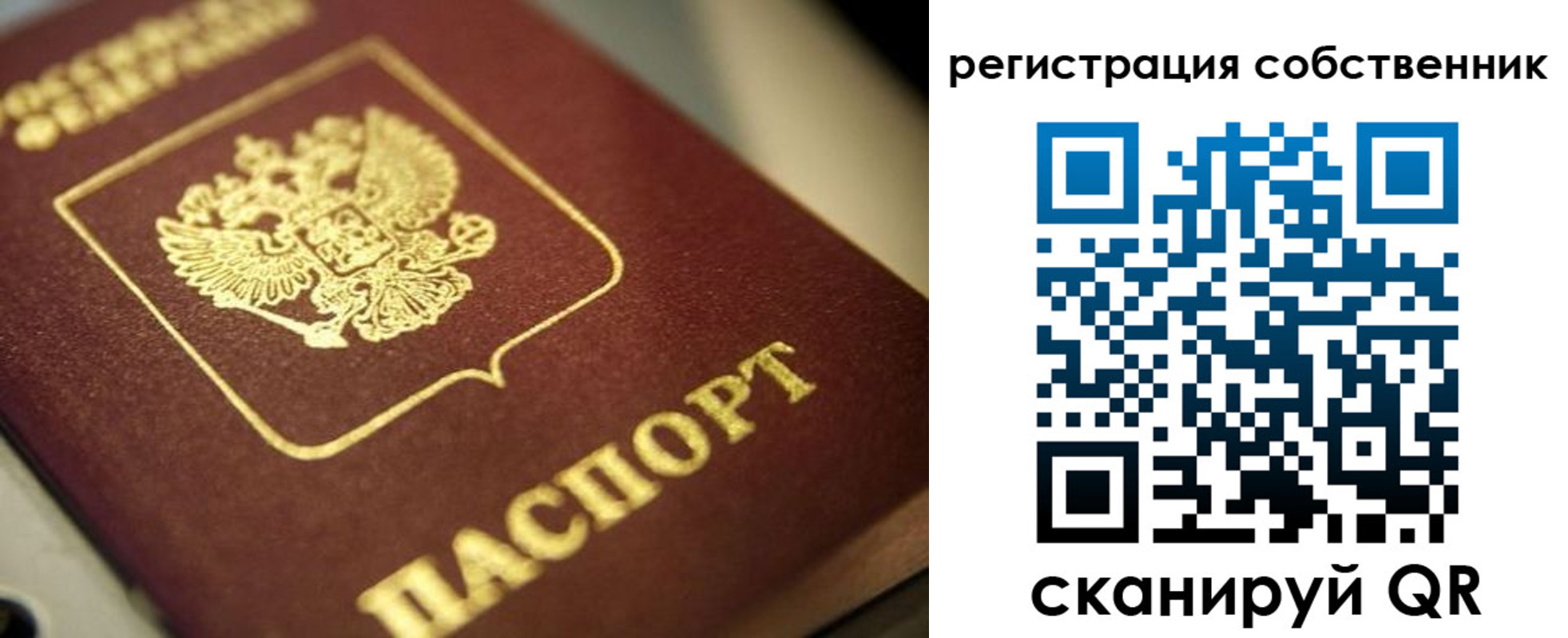 прописка в Горняке